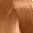 ������ ��� ����� ��� ������� L'Oreal Professionnel DIA Richesse #8.34 ������� ������� ���������-������