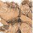 ��������� ���������� ����-����� ��� ���� MAC Studio Fix Powder Plus Foundation C7