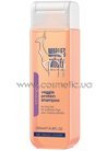 ������� � ������������ ��������� ��� ����������� ����� Marlies Moller Veggie Protein Shampoo small