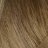 ����-����� �� ��������� ������, ��� ������ Matrix Tonal Control Pre-Bonded Gel Toner #6NGA