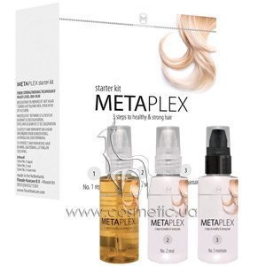 ��������� ����� Metamorphose Metaplex Starter kit