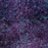 ��� ��� ������ Mirra Nail Polish ����� ����
