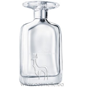 ������ Narciso Rodriguez Essence Eau de Parfum