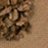 ������� ���� ��� ��� NYX Nude Matte Shadow #4 MAYBE LATER
