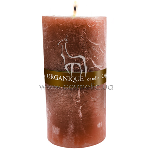 ����� �������������������� ������� �������, ���������� Organique Candle Big Cylinder Cinnamon