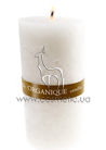 ����� �������������������� ������� ���������� �����, ����� Organique Candle Big Cylinder Cotton & Lotus small