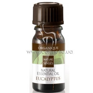 ������� ����� ��������� Organique Natural Essential Oil Eucalyptus