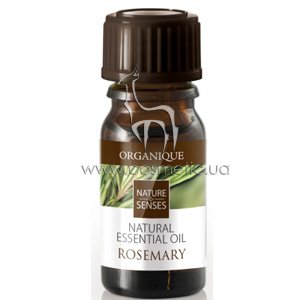 ������� ����� ���������� Organique Natural Essential Oil Rosemary