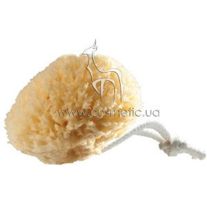 ����������� �����, ������� ������ Organique Sponge G4