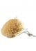 ����������� �����, ��������� ������ (2��) Organique Sponge G2 smallest
