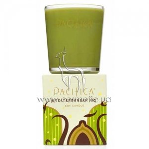 ������ ����� ������������������ ��� Pacifica Mediterranean Fig Candle