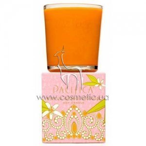 ������ ����� ������������� ���� Pacifica Nerola Orange Blossom Candle