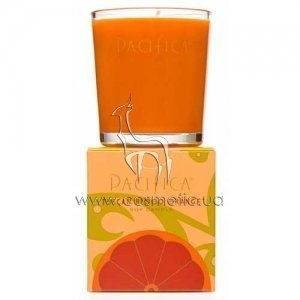 ������ ����� ����������� ��������� Pacifica Tuscan Blood Orange Candle
