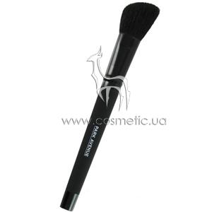 ����� ��� ����� Park Avenue Powder Blush Brush