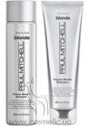 ������� ��� ������� ����� ��� ��������� Paul Mitchell Blonde Forever Blonde Shampoo small