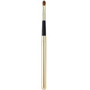 ����� ��� ��� �301 Pierre Rene Professional Brush For Lipstick �301
