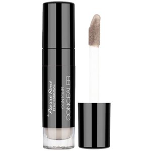 �������� ��� ���� Pierre Rene Professional Contour Concealer