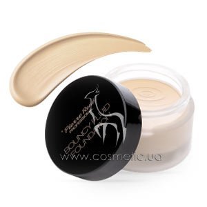 ���������� ��������� ����-����� Pierre Rene Professional Bouncy Fluid Foundation