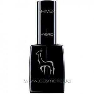 ��������� ������� ��� ������ Pierre Rene Professional Hybrid Nail Primer