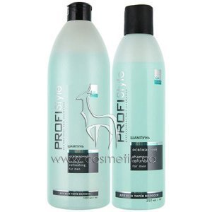 ���������� ������� ��� ������ Profi Style Care Refreshing Shampoo