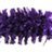 �������� ���� ��� ������ Pupa Vamp! Mascara # 400 - AMETHYST VIOLET