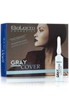 �������� ��� ������� ����������� ������ Salerm Gray Cover small