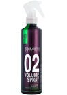 ������������� ����� ��� ������ ������� �������� Salerm Pro Line Volume Spray 02 small