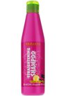 ������� ��� ����������� ����� Salerm Straightening Shampoo small