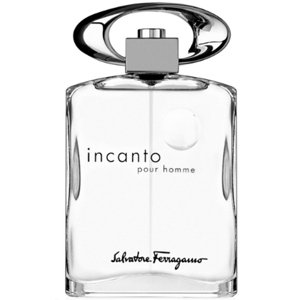 ������ Salvatore Ferragamo Incanto Pour Homme Eau de Toilette