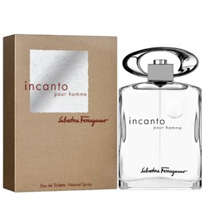 ��������� ���� Salvatore Ferragamo Incanto Pour Homme