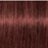 ����-������ ��� ����� ����� Schwarzkopf Professional Igora Royal Absolutes #6-80 �����-����� ������� �����������