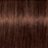 ����-������ ��� ����� ����� Schwarzkopf Professional Igora Royal Absolutes #5-70 ������-���������� ������ �����������