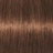 ����-������ ��� ����� ����� Schwarzkopf Professional Igora Royal Absolutes #7-460 Te��o-pyc�� �e�e��� �o�o�a����