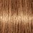 ������ ��� ���� Schwarzkopf Professional Igora Royal Disheveled Nudes #8-176