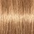������ ��� ���� Schwarzkopf Professional Igora Royal Disheveled Nudes #9-567