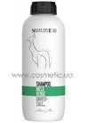 ������� �������� ������ Selective Professional Artistic Flair Mella Verde Shampoo small