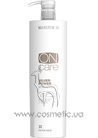 ���������� ������� ��� ������������� ��� ����� ����� Selective Professional On Care Silver Power Shampoo small