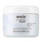����������� ����� ��� ���� ������ Sensus Illumyna Scalp Detox Hydra Mask small
