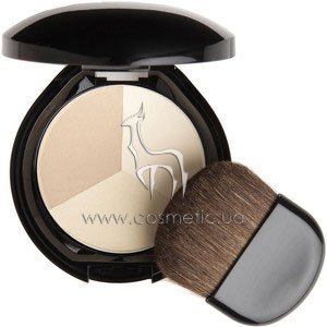 ���������� ����������� ����� Shiseido The Makeup Luminizing Color Powder