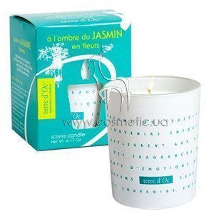 ����� ������������� �������� ������� ������� Terre d'Oc Aromatic Candle a l'Ombre du Jasmin