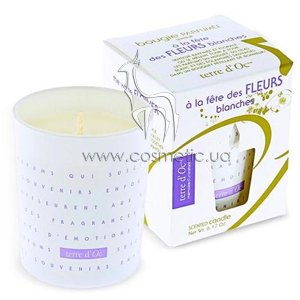 ����� ������������� ���������� ����� ������ Terre d'Oc Aromatic Candle Festival of White Flowers