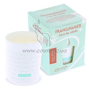 ����� ������������� ������� ���������� Terre d'Oc Aromatic Candle Frangipanier
