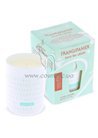 ����� ������������� ������� ���������� Terre d'Oc Aromatic Candle Frangipanier small