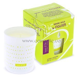 ����� ������������� ������� ��� ����������� Terre d'Oc Aromatic Candle Sieste Sous le Figuier