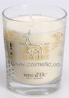 ������������� ����� ���������� ��� Terre d'Oc Scented Candle Illuminated Wood small