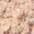 ����������� ���� ��� ��� theBalm Overshadow No Money, No Honey