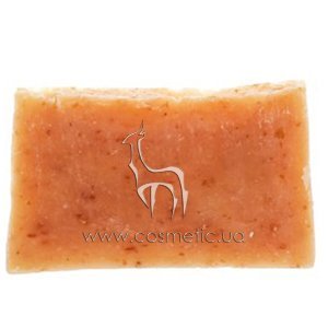 ����������� ���� ���� ����������� ����������� ���� ��������� ����