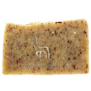 ����������� ���� ���� ����������� ����������� ���� �������