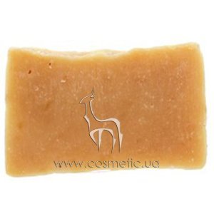 ����������� ���� ���� ����������� ����������� ���� ������� � ������