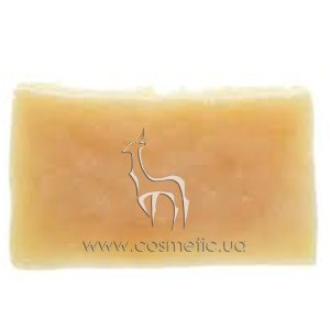 ����������� ���� ���� ����������� ����������� ���� �������